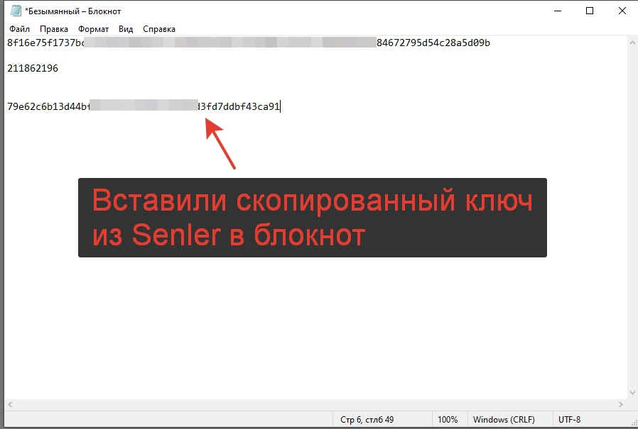 Вставили скопированный ключ в блокнот