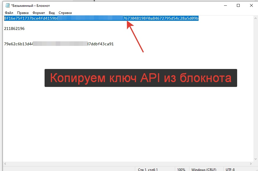 Копируем ключ API из блокнота